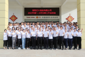 總結(jié)過去，計(jì)劃未來，協(xié)同創(chuàng)新，再創(chuàng)佳績(jī)！洛陽正大舉行2023年上半年工作總結(jié)會(huì)議